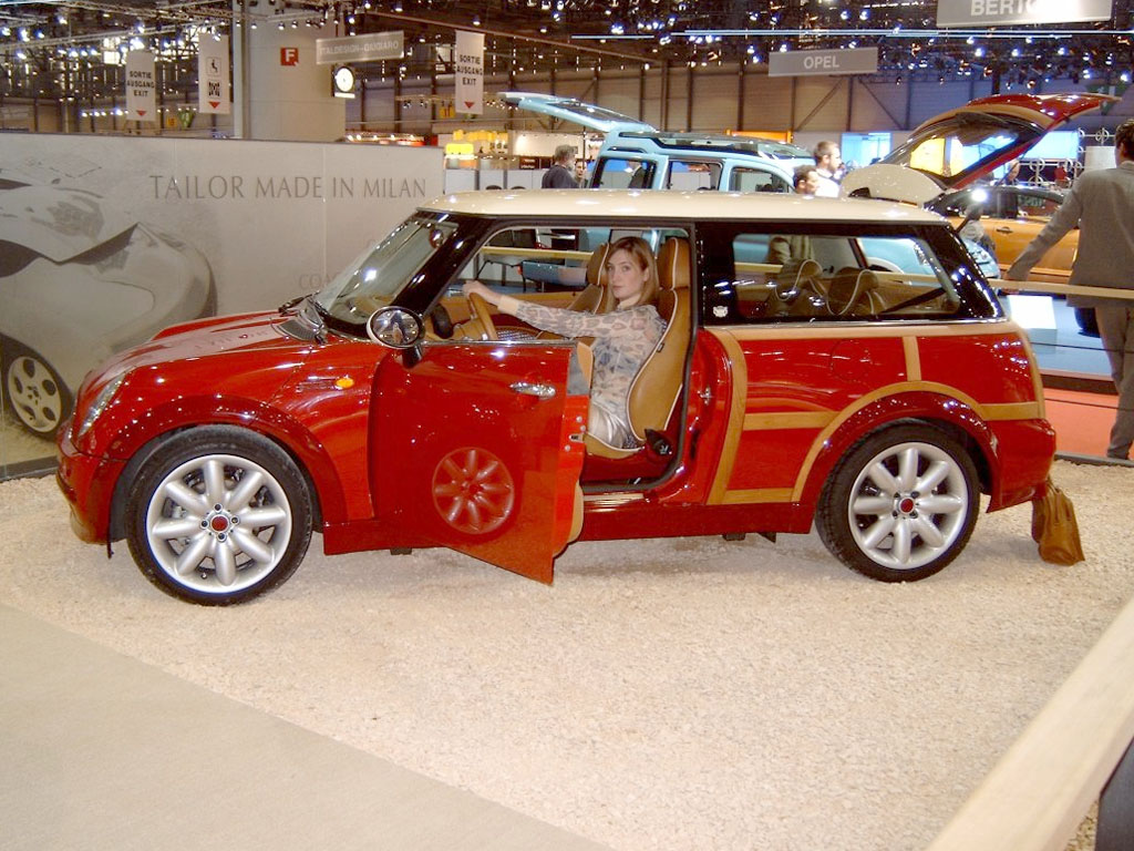 Mini Woody