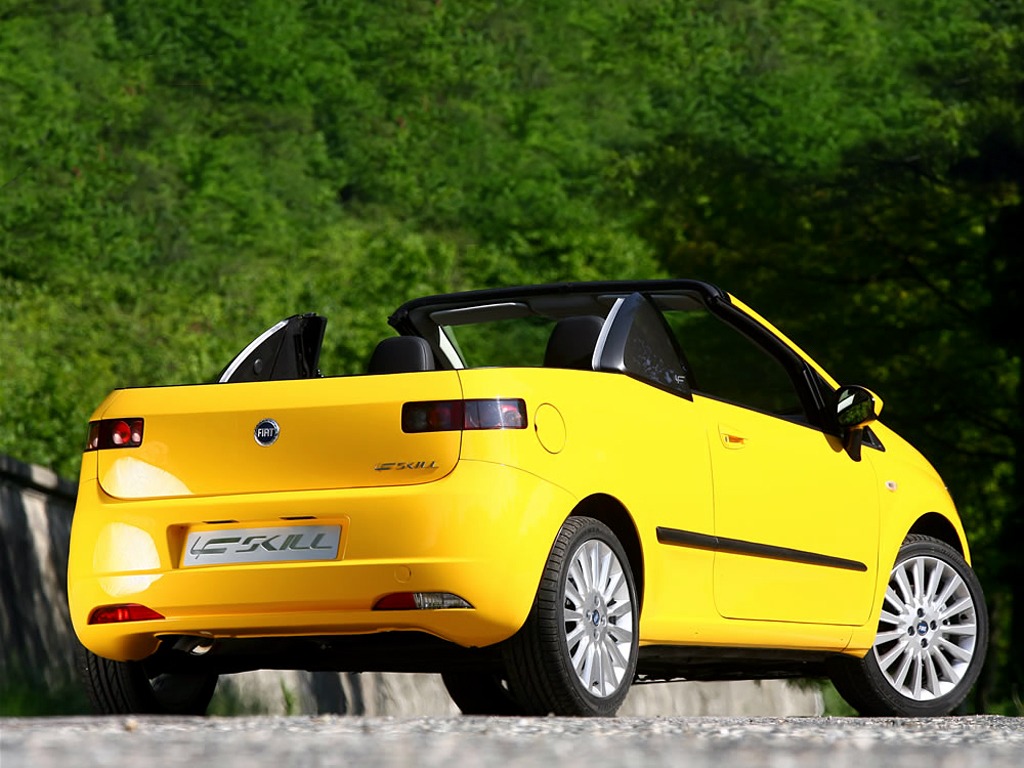 Fiat Punto Skill