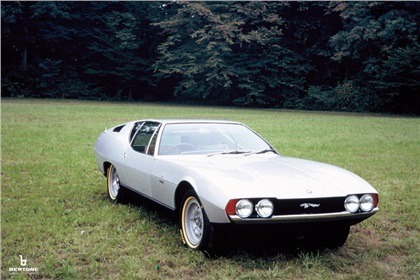 Jaguar Pirana