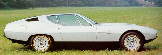 Jaguar Pirana