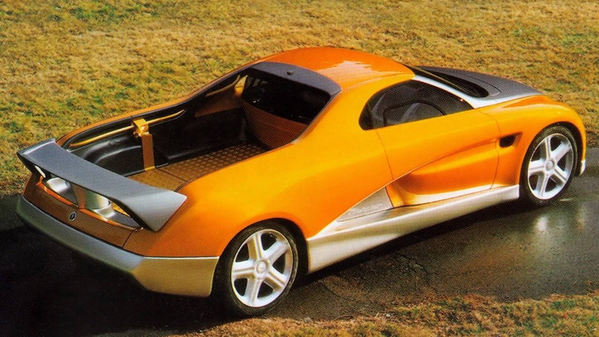 Bertone Pickster