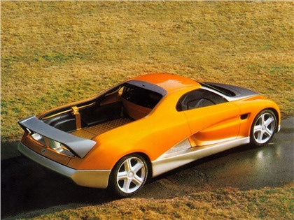 Bertone Pickster