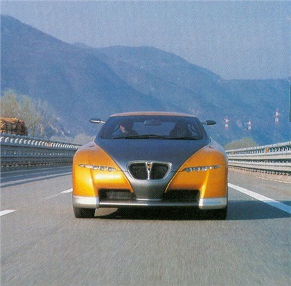Bertone Pickster