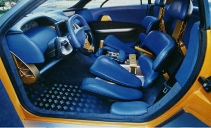 Bertone Pickster