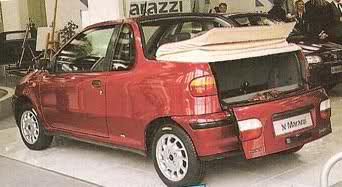 Fiat Punto Cabrio Wagon Bricò