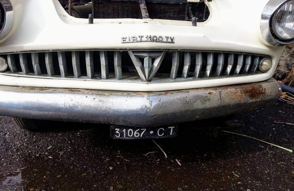Fiat 1100 TV Canta
