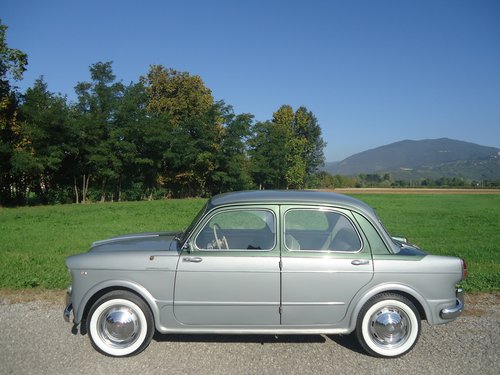 Fiat 1100-103 Elite