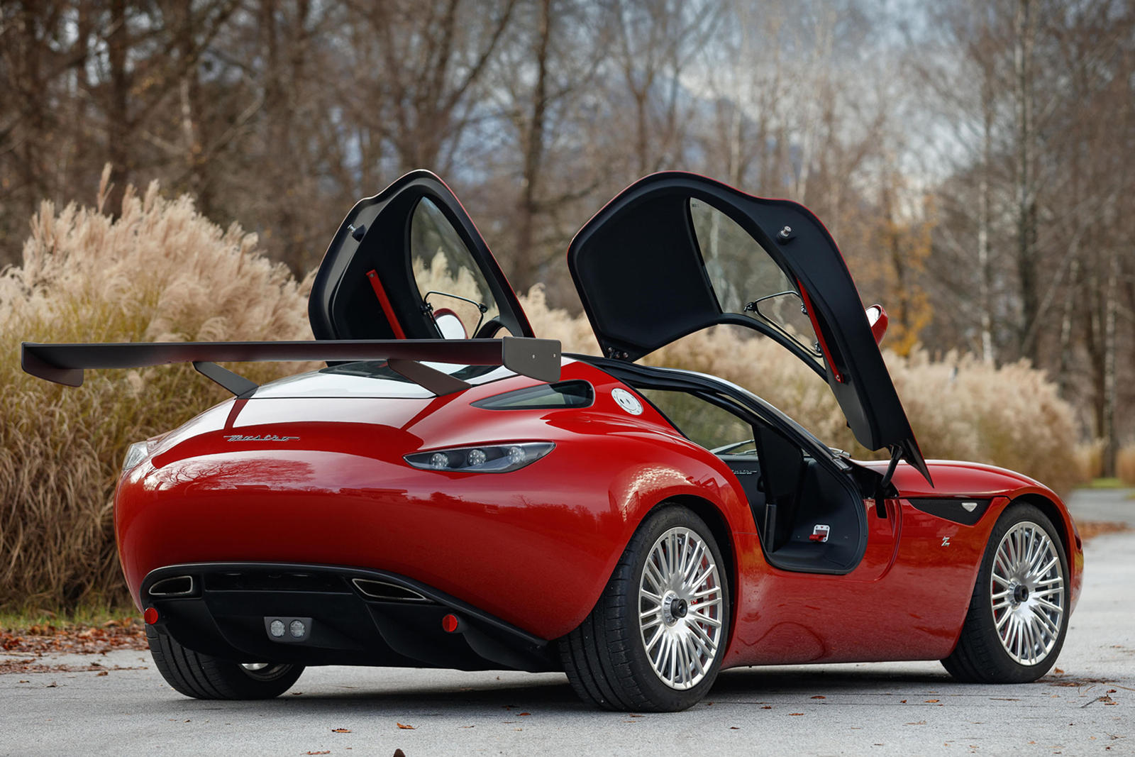 Zagato Mostro