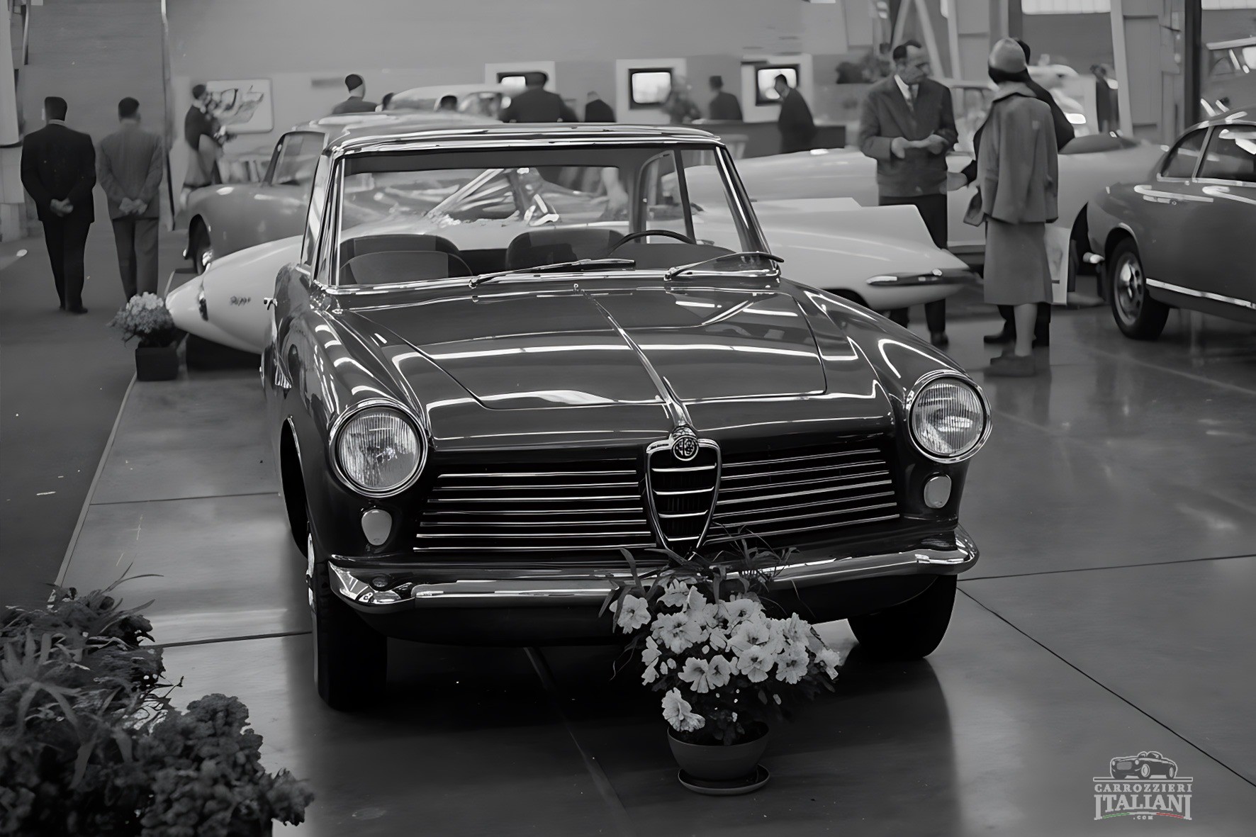 Alfa Romeo 2000 Sole