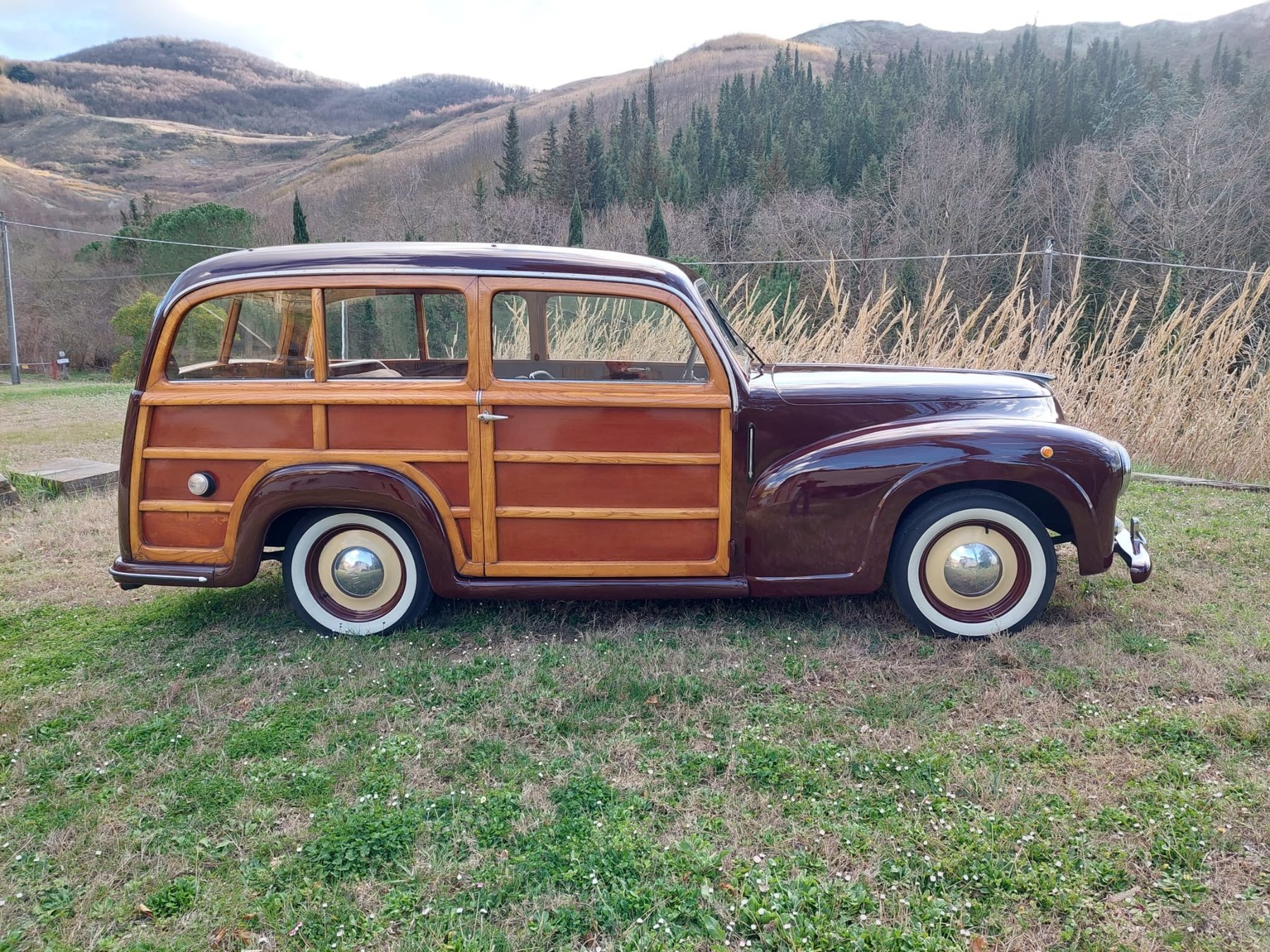 Fiat 1100 B Giardinetta Viotti