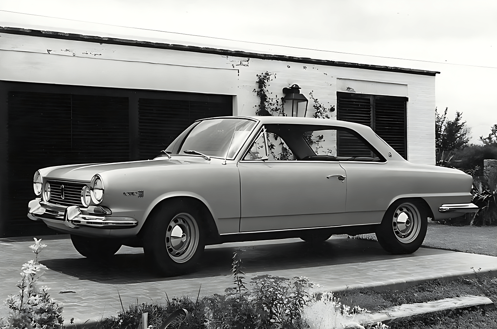 ika torino