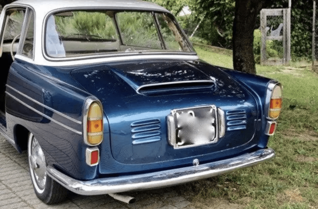 Fiat 600 Granluce Viotti