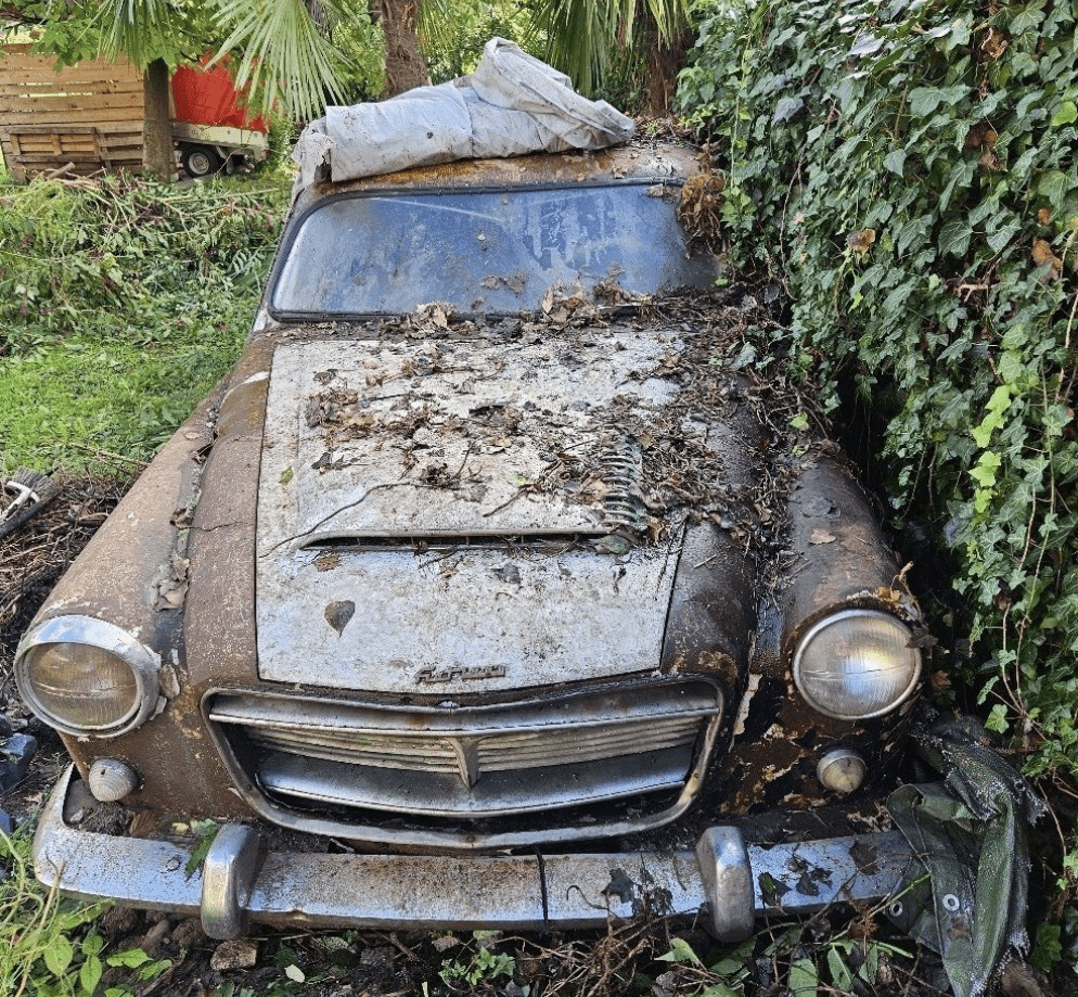 Fiat 1900 Granluce Boneschi