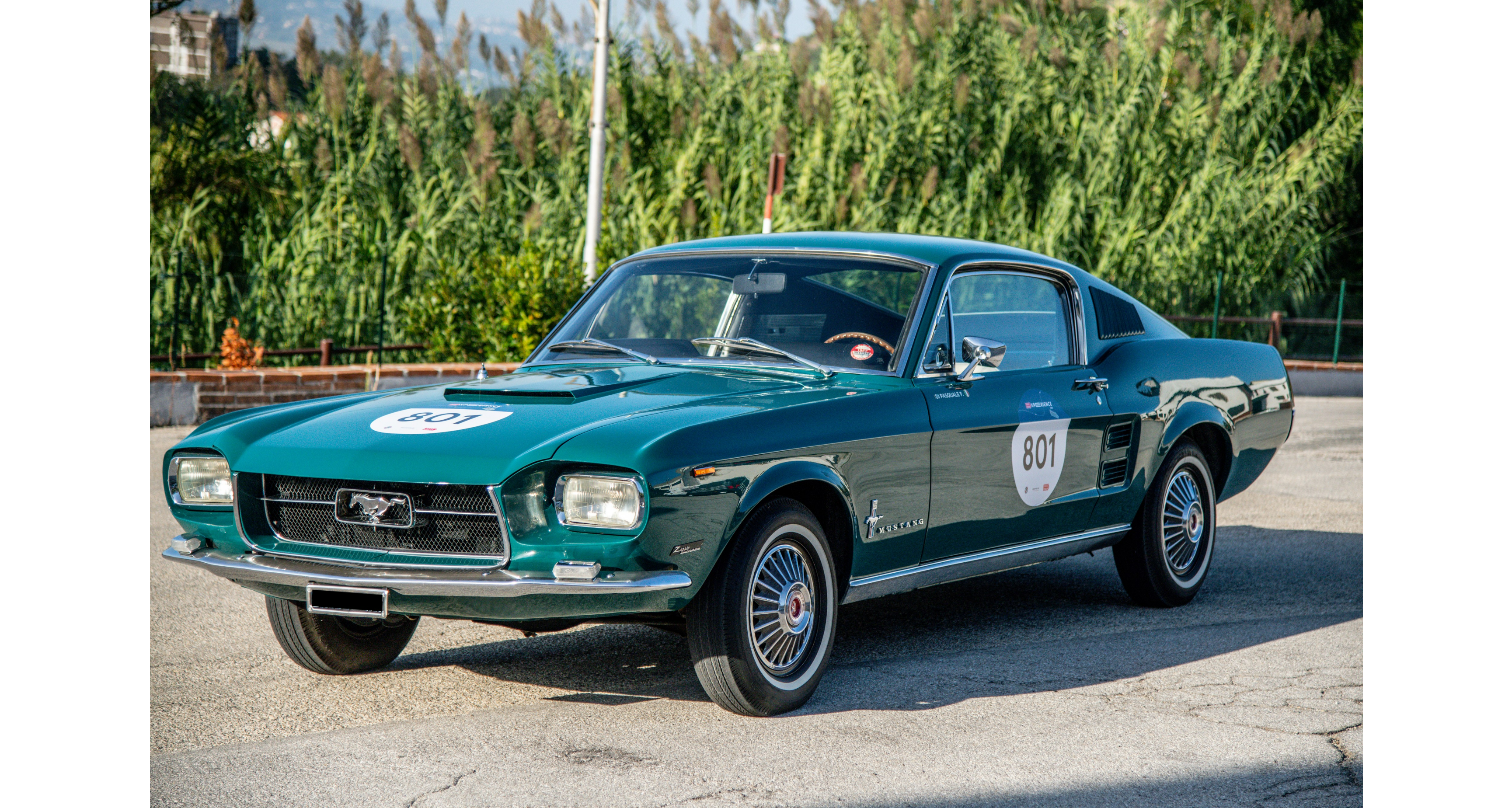 Ford Mustang Shelby GT350 Zagato