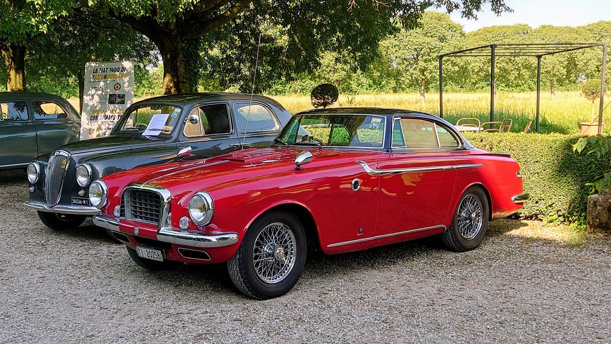 MG TD Vignale