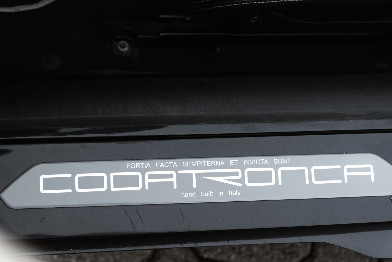 Spada Codatronca